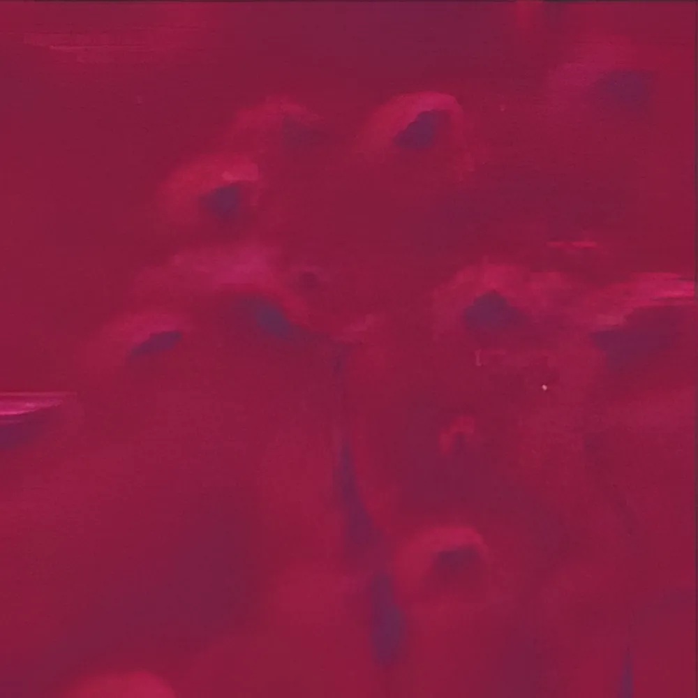 Merlot